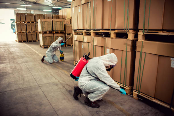 Best Pest Inspection Near Me  in Union Point, GA