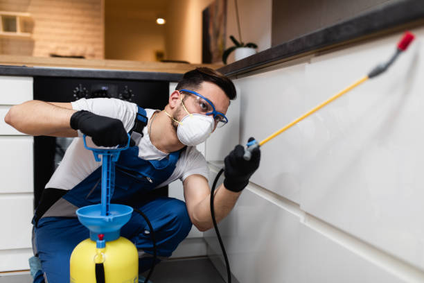Pest Prevention Services in Union Point, GA