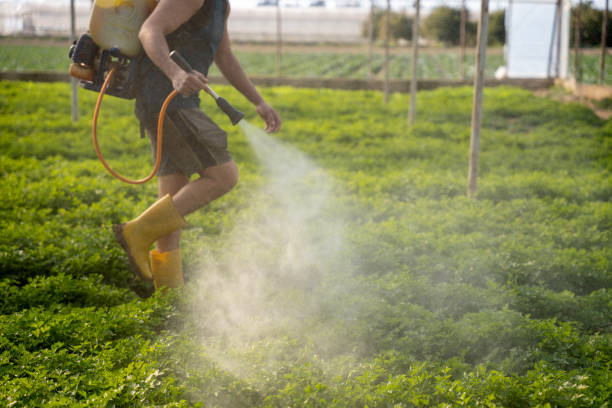 Best Local Pest Control Services  in Union Point, GA