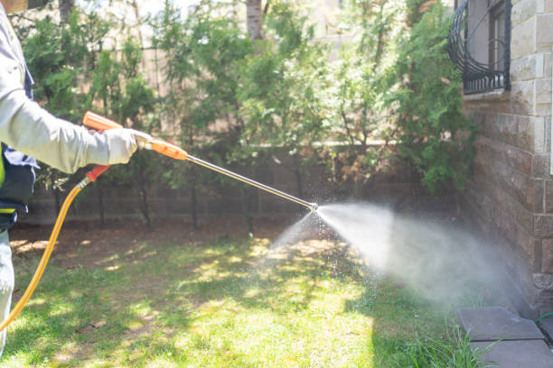 Best Ant Control Services  in Union Point, GA