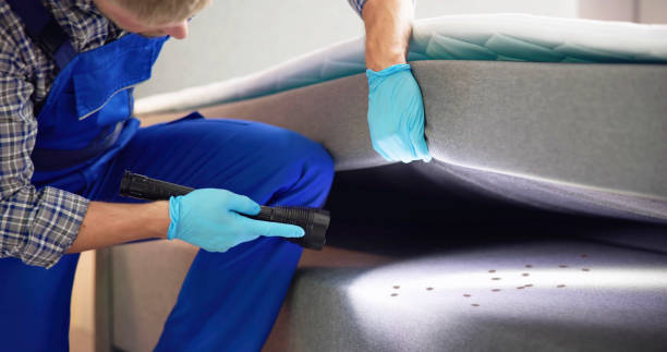 Best Emergency Pest Control  in Union Point, GA
