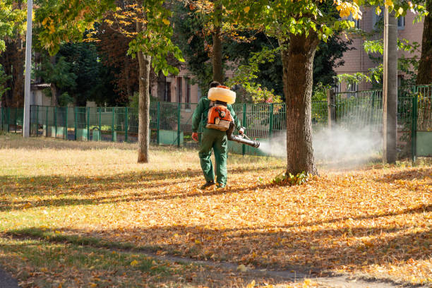 Best Wasp Removal Services  in Union Point, GA