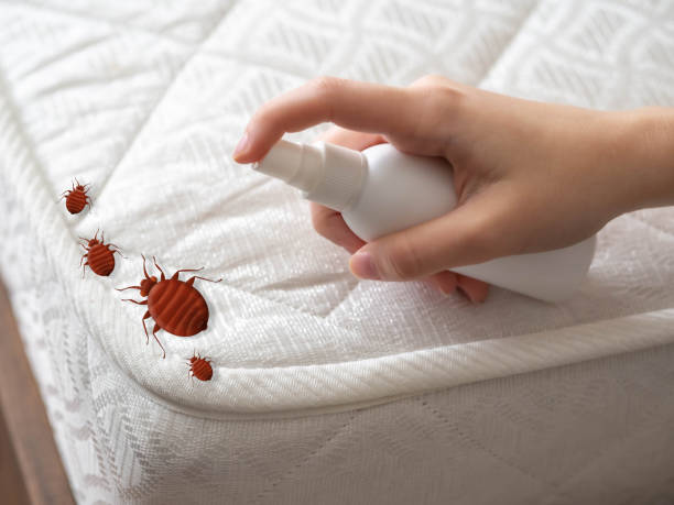 Best Ant Control Services  in Union Point, GA