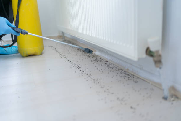Best Best Pest Control Companies  in Union Point, GA