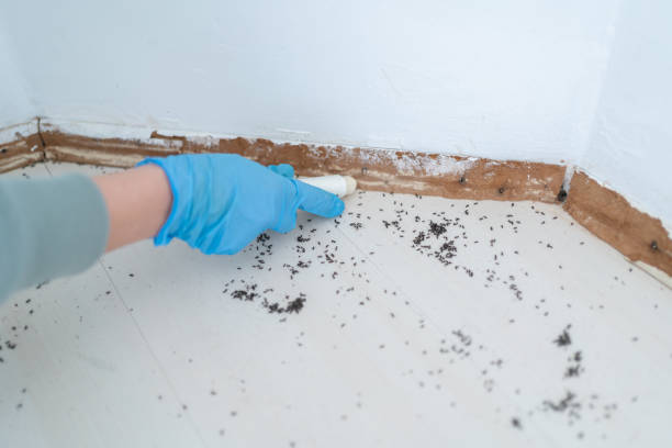Best Pest Removal Services  in Union Point, GA