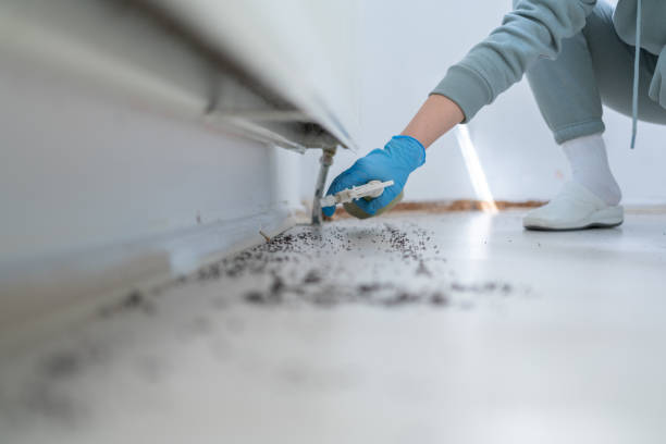 Best Mosquito Control Services  in Union Point, GA